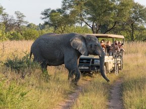 South Africa - Krueger National Park