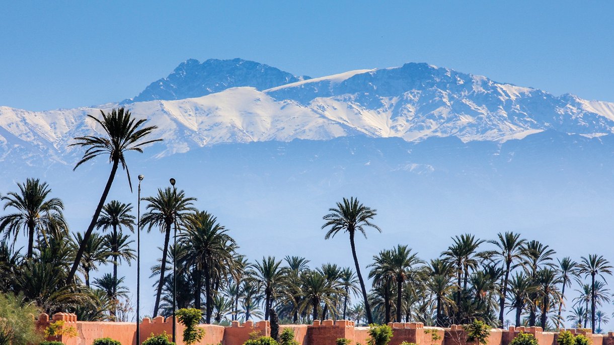 Palm trees and the High Atlas Mountains