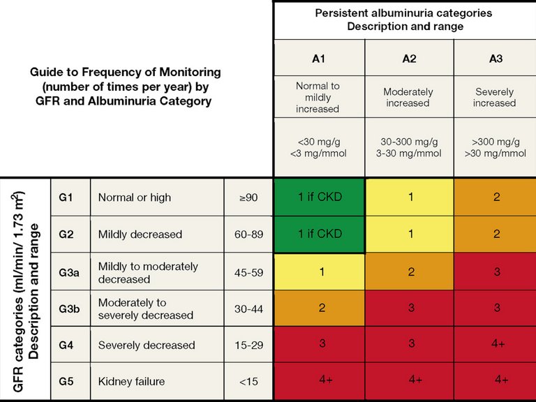 [Translate to COM English:] GFR and albuminuria grid to reflect the risk of progression by intensity of coloring